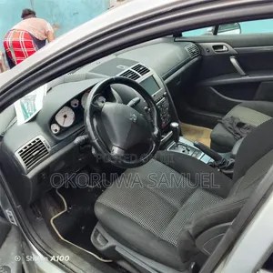 Peugeot 407 2004 Silver