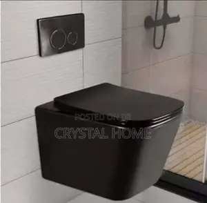 Conceal Water Closet Black