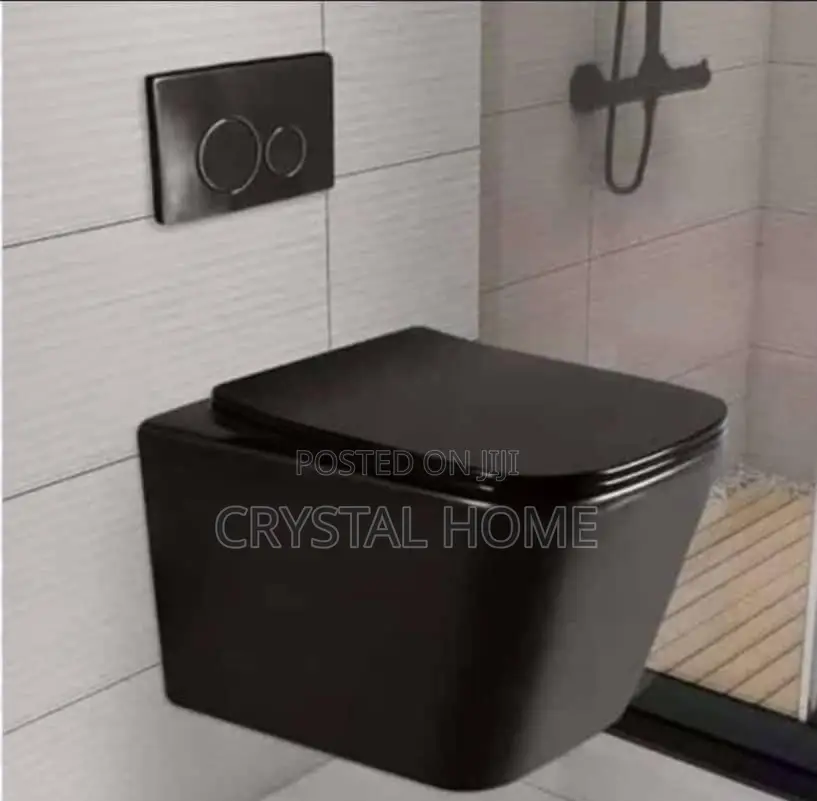 Conceal Water Closet Black