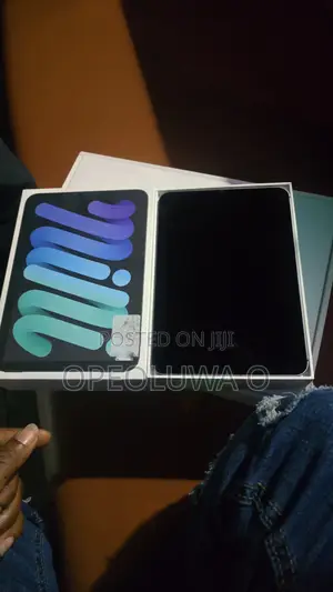 Apple iPad mini (2024) 256 GB Gray