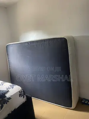 Orthopedic Bed 5 by 6