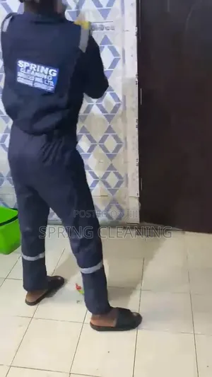 Spring Cleaning Services