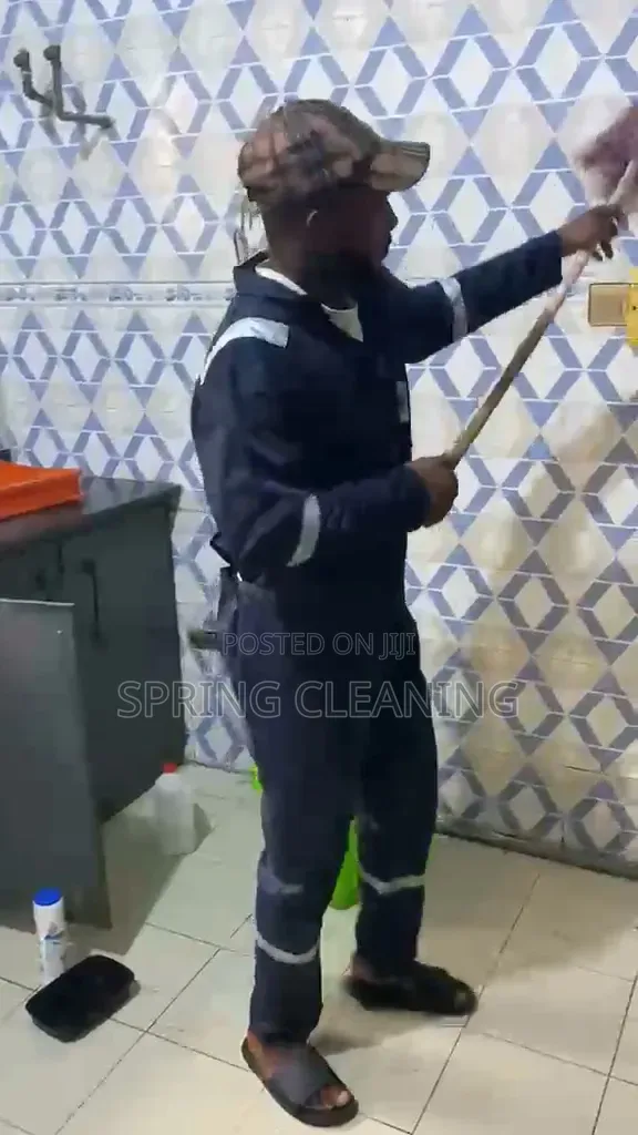 Spring Cleaning Services