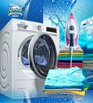 Spring Cleaning Services