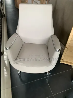 Executive Office Visitors Chair - Modern Luxury and Comfortable