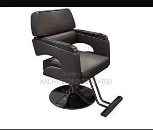 Salon Chair
