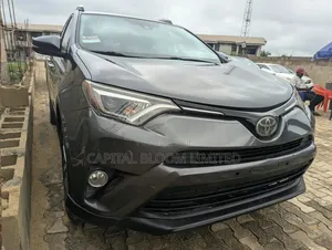Toyota RAV4 XLE AWD (2.5L 4cyl 6A) 2017 Gray