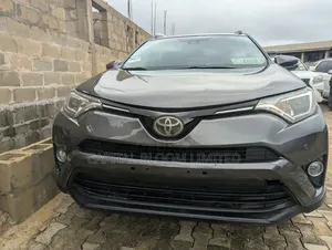 Toyota RAV4 XLE AWD (2.5L 4cyl 6A) 2017 Gray