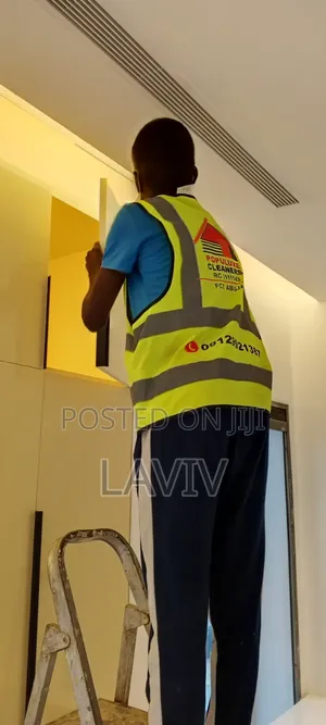 Populuxe Cleaning Agency