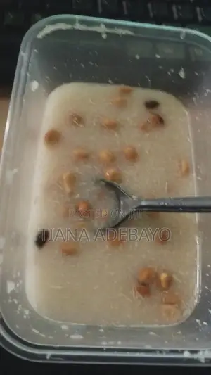 Dry and Crunchy Authentic Ondo Garri
