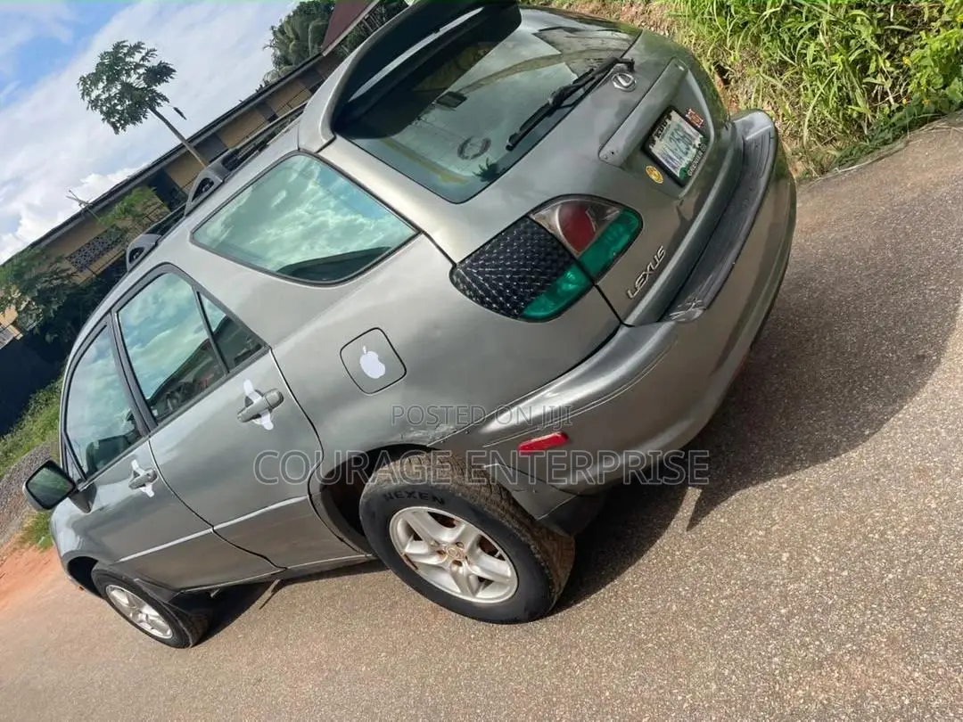 Lexus RX 2000 Gray