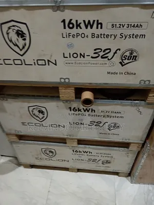 16kwh Ecolion Lithium Ion Battery 48v