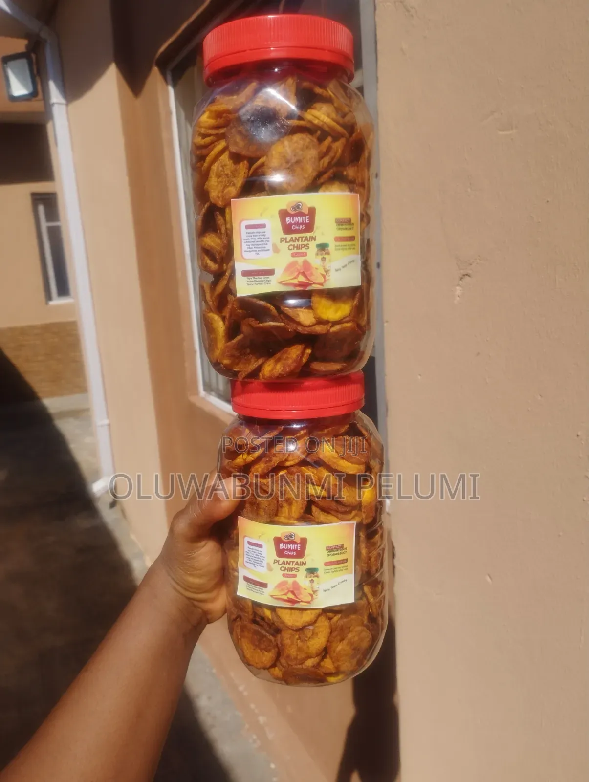 Plantain Chips