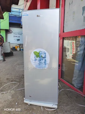 Bona 6 Steps Solar Upright Freezer 200 Liter Fast in Maker Ice Block