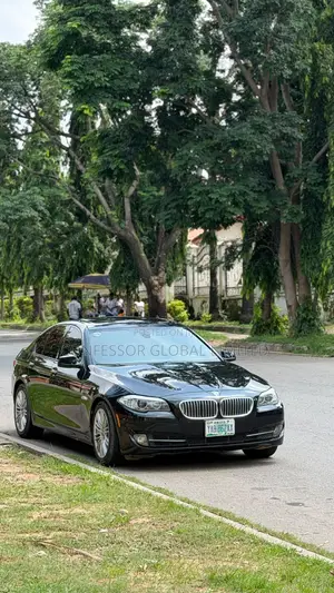 BMW 528i 2011 Blue