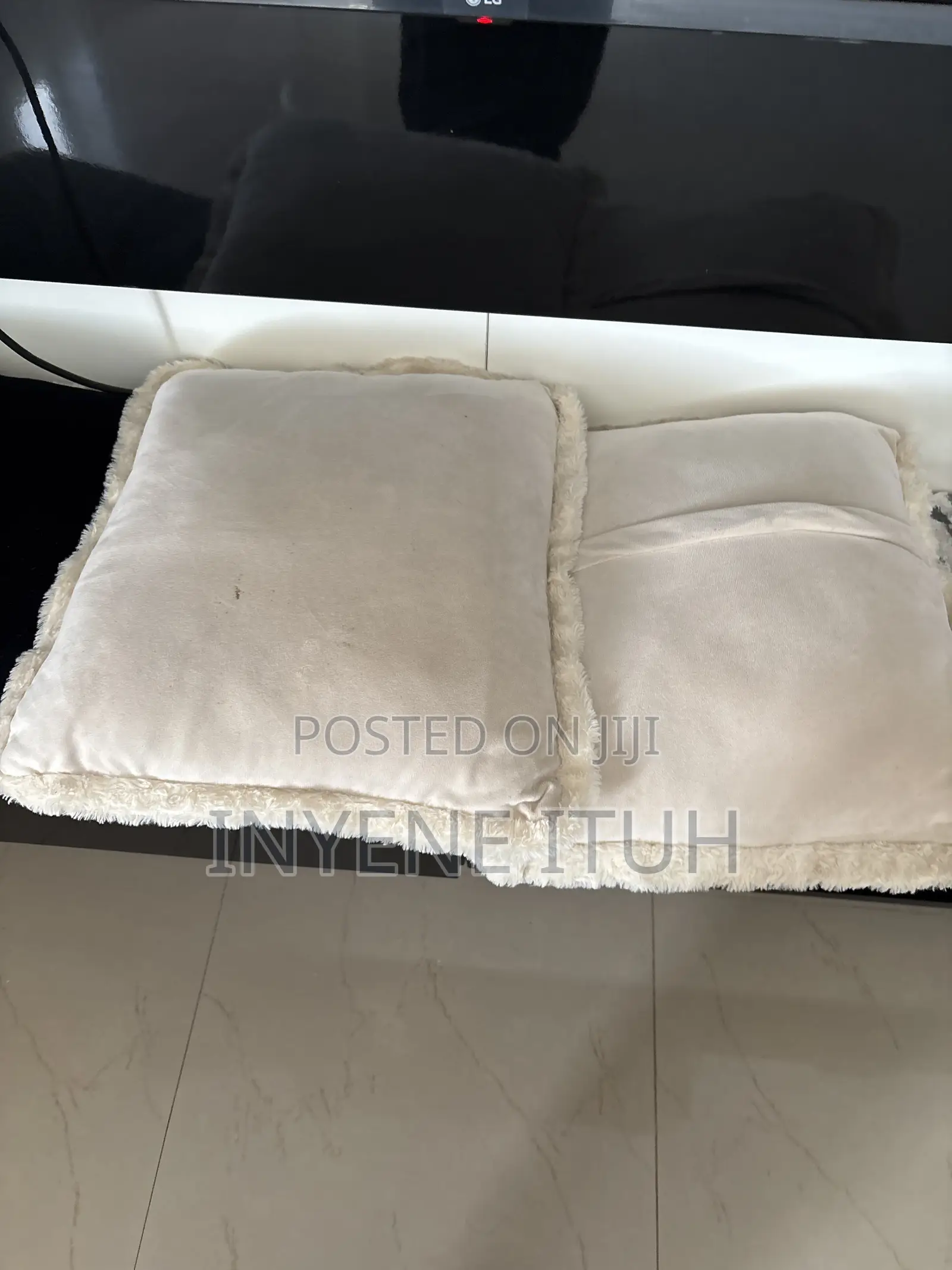 Throw Pillow