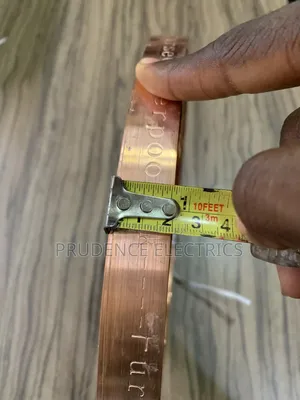 Thunder/Lightning Arrestor
