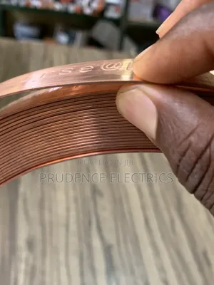 Thunder/Lightning Arrestor