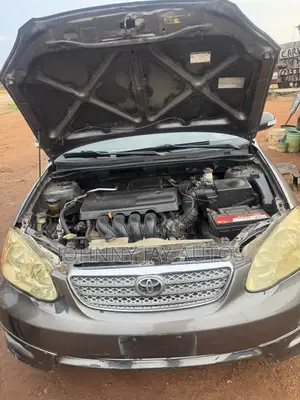 Toyota Corolla 2004 Gray