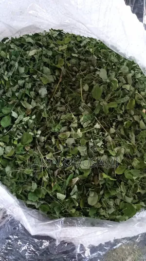 1kg Moringa Leaves/Bulk Orders Available on Request