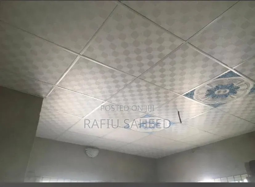 Suspended Ceiling and T Grid