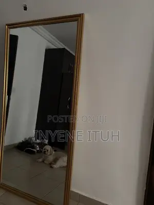 Standing Mirror