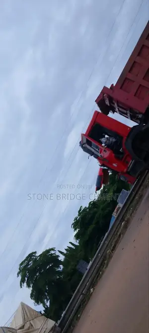 Bua Cement Distributor Team