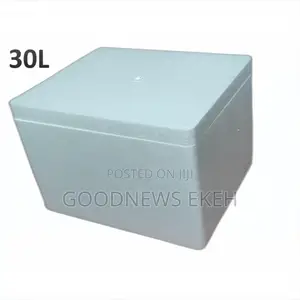 Polystyrene Box for Frozen Food Storage