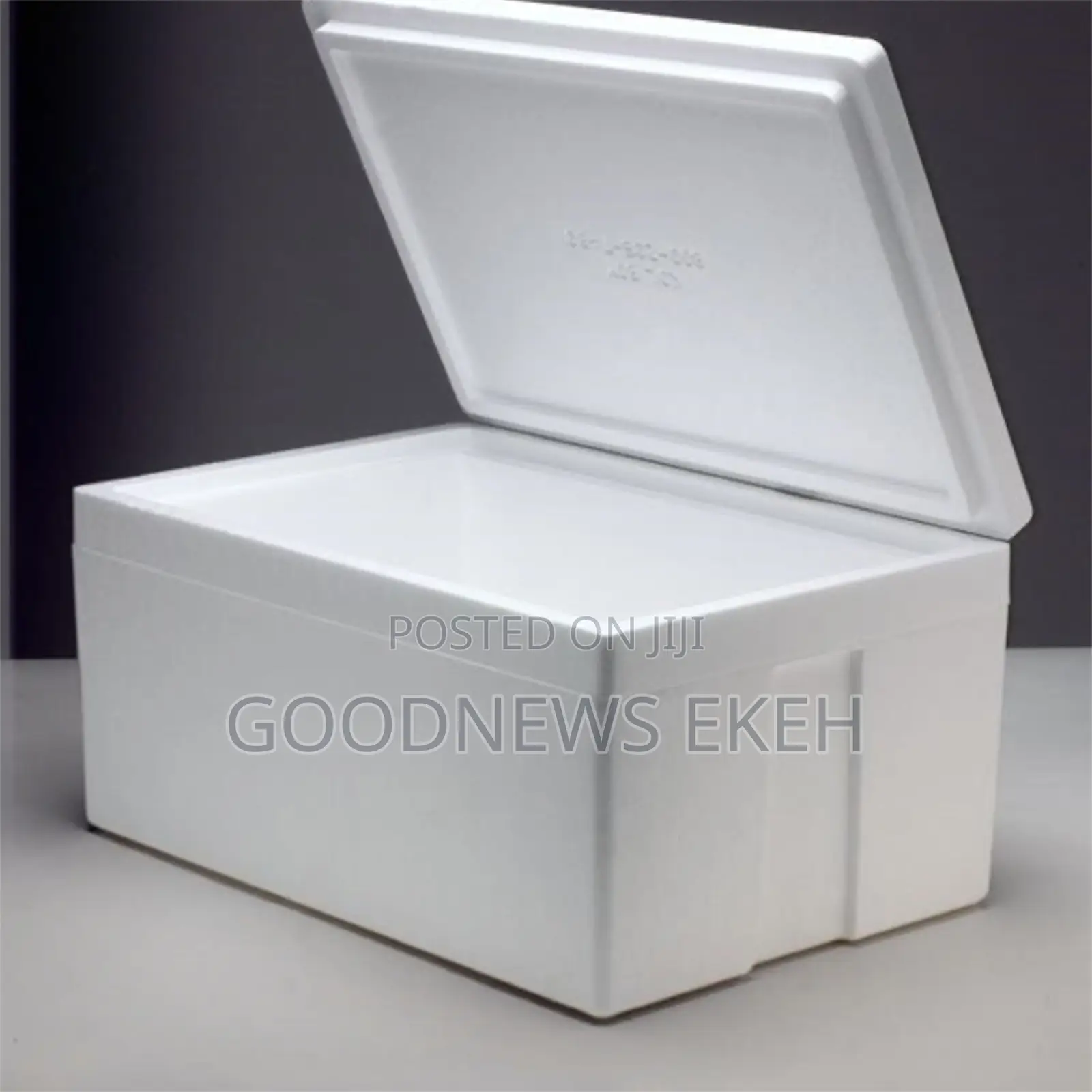 Ice Products Styrofoam Box 30liters/50liters Available