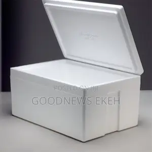 Ice Products Styrofoam Box 30liters/50liters Available