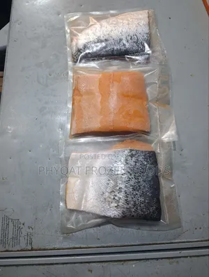 Salmon Fish
