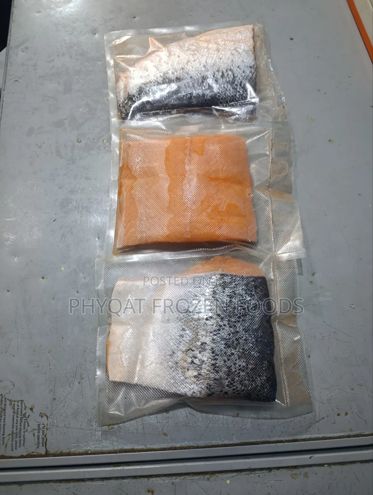 Salmon Fish