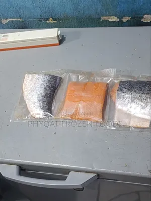 Salmon Fish