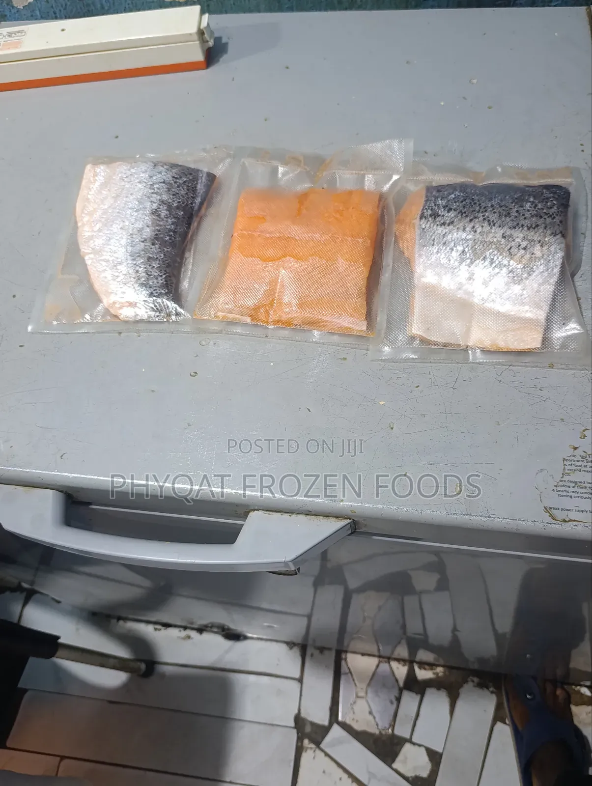 Salmon Fish