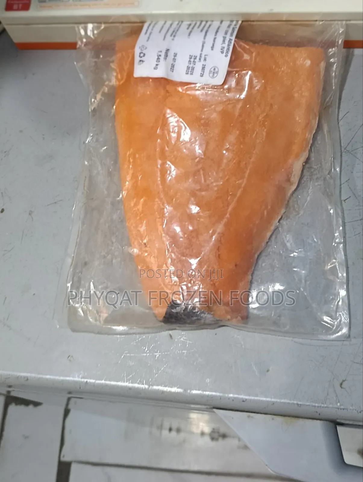 Salmon Fish