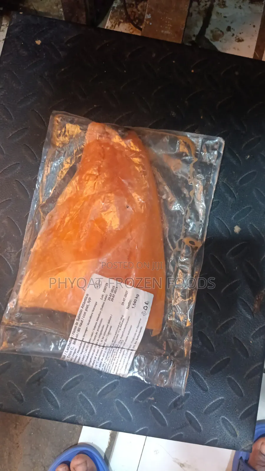 Salmon Fish