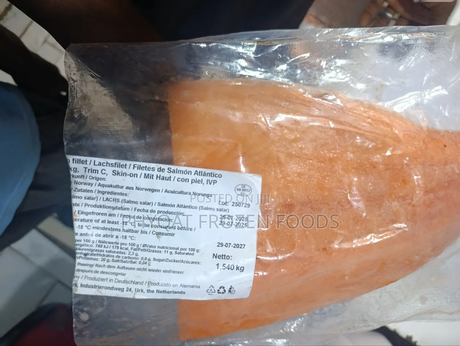 Salmon Fish