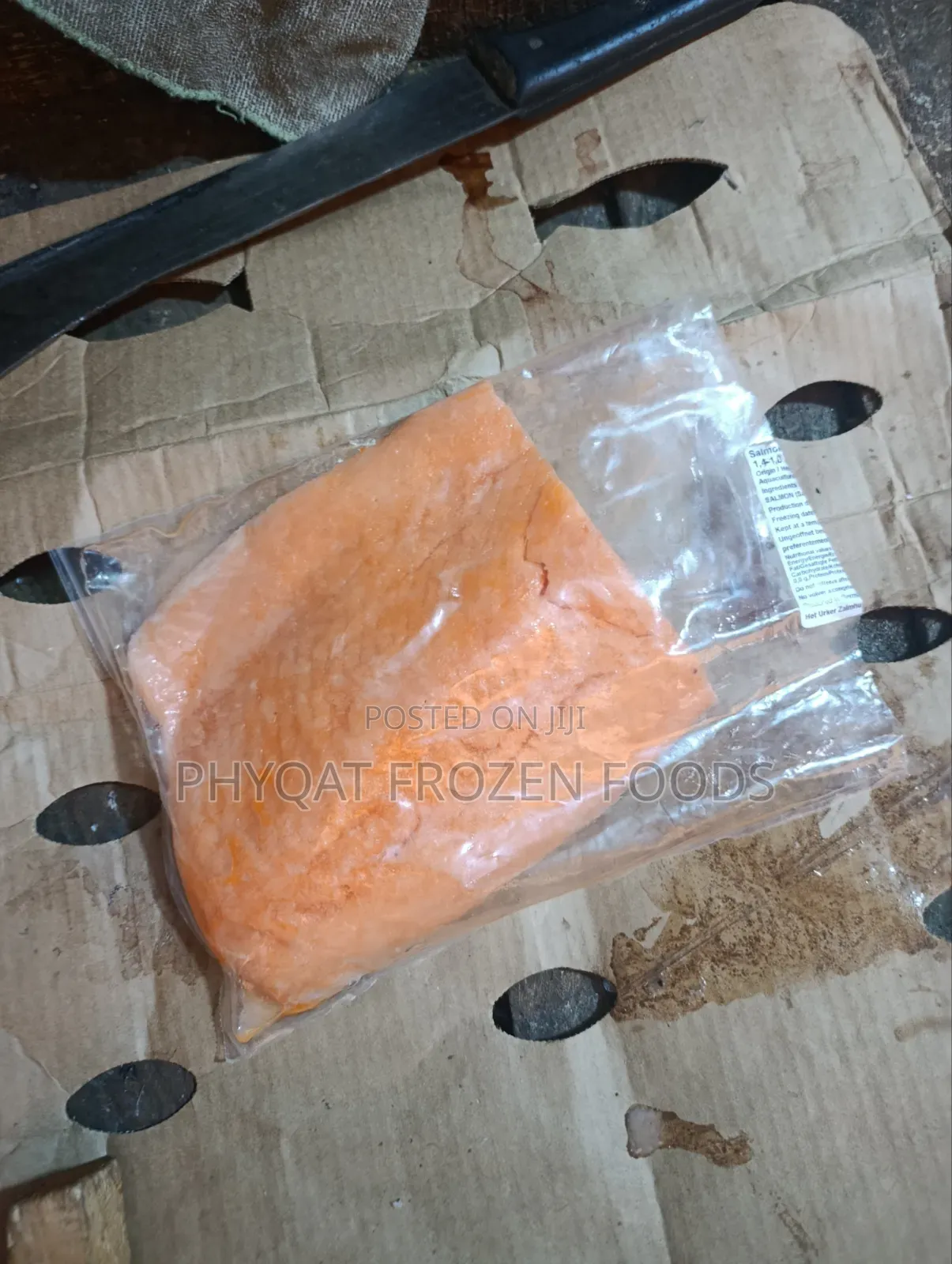 Salmon Fish