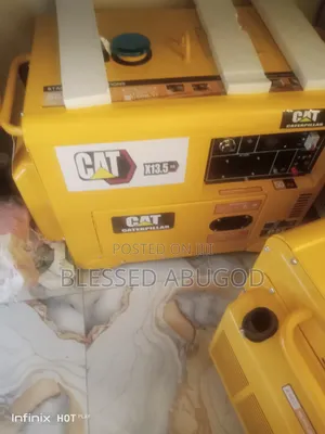 Executive Cat Diesel Generator