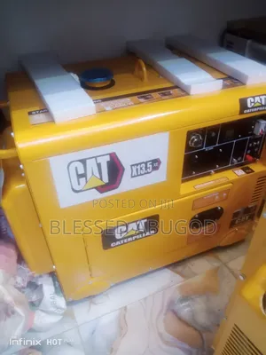 Executive Cat Diesel Generator