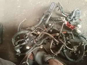 Wiring System of Toyota/Lexus