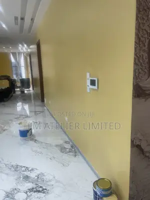 Professional House Painting Wall Finishing Services