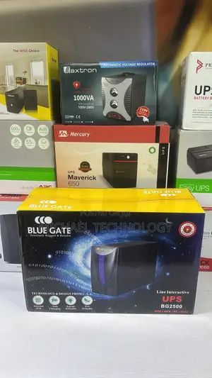 Bluegate 2500va UPS