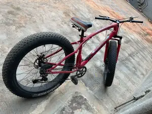 Bicycle for Adult
