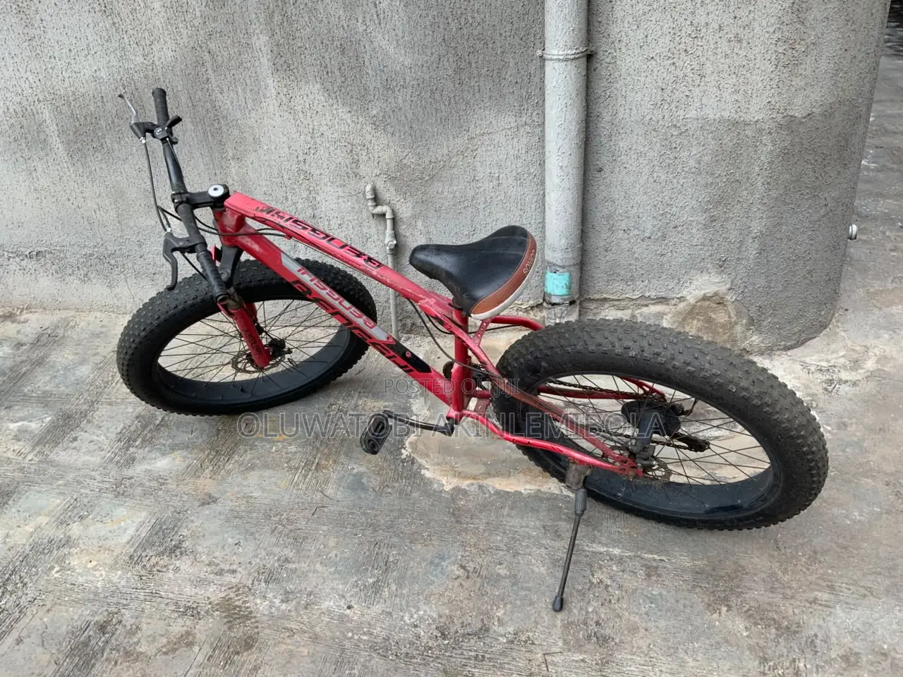 Bicycle for Adult