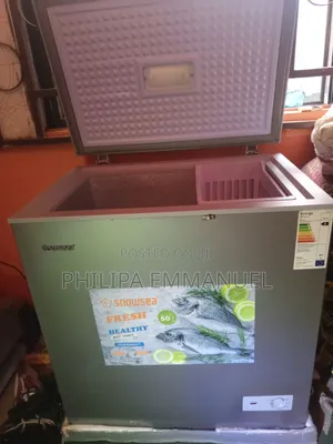 Snowsea 150l Freezer