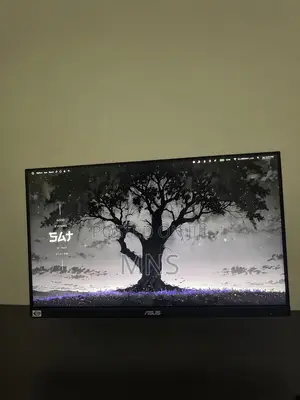 ASUS Gaming Monitor