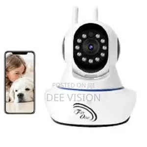 Nanny Cameras