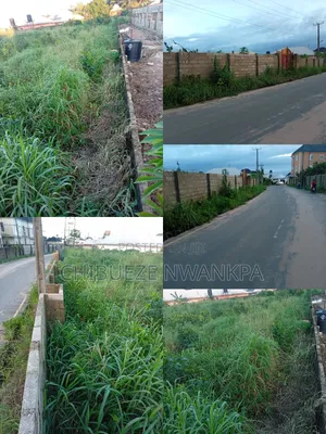 Sharp 5 and Half Plots of Land