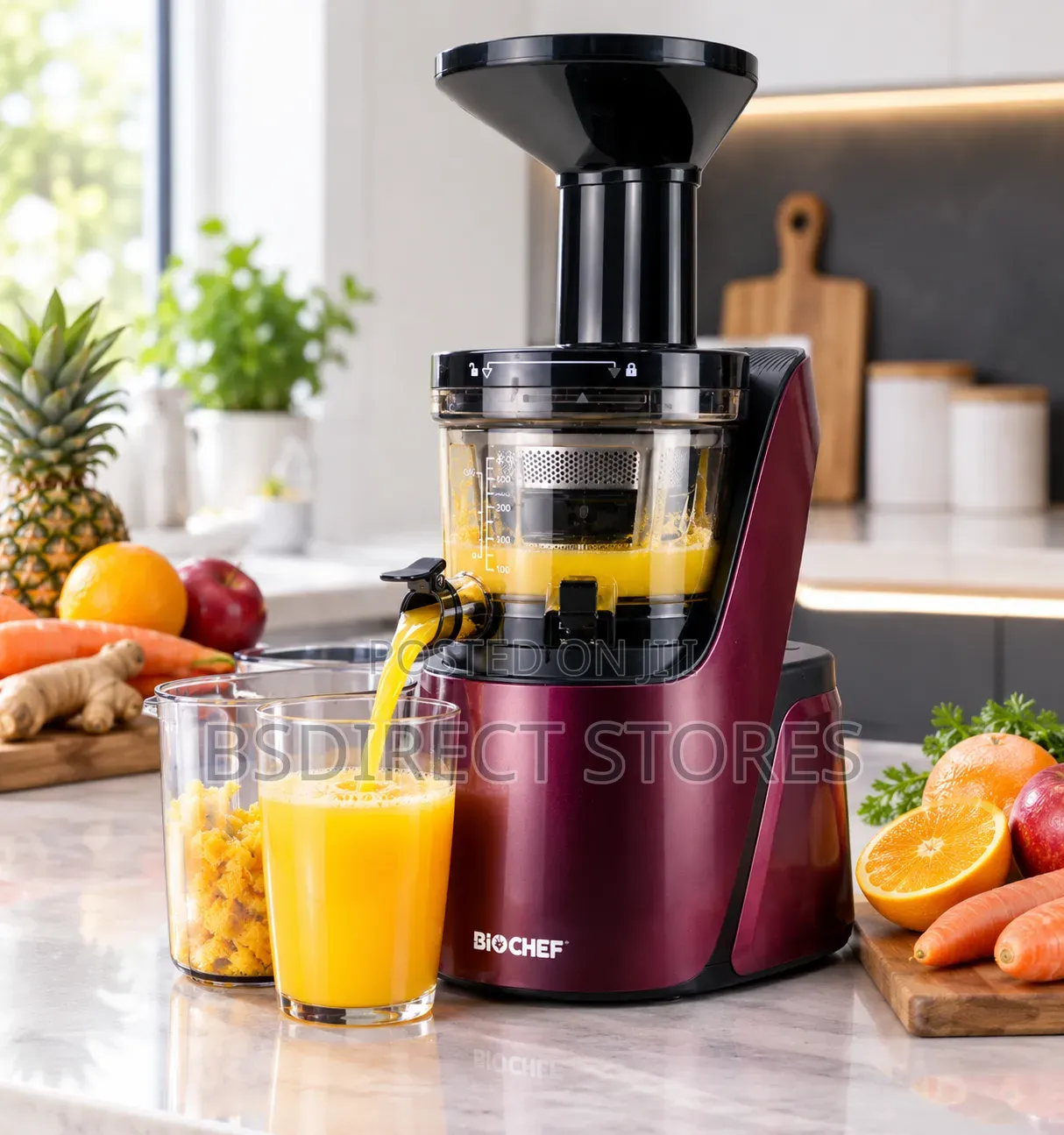 Bio Chef Quantum Cold Press Juicer - Slow Masticating Juicer